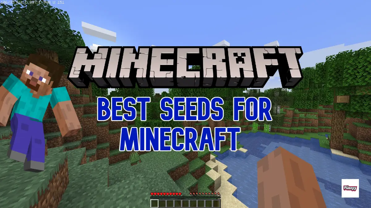 Best Seeds For Minecraft 