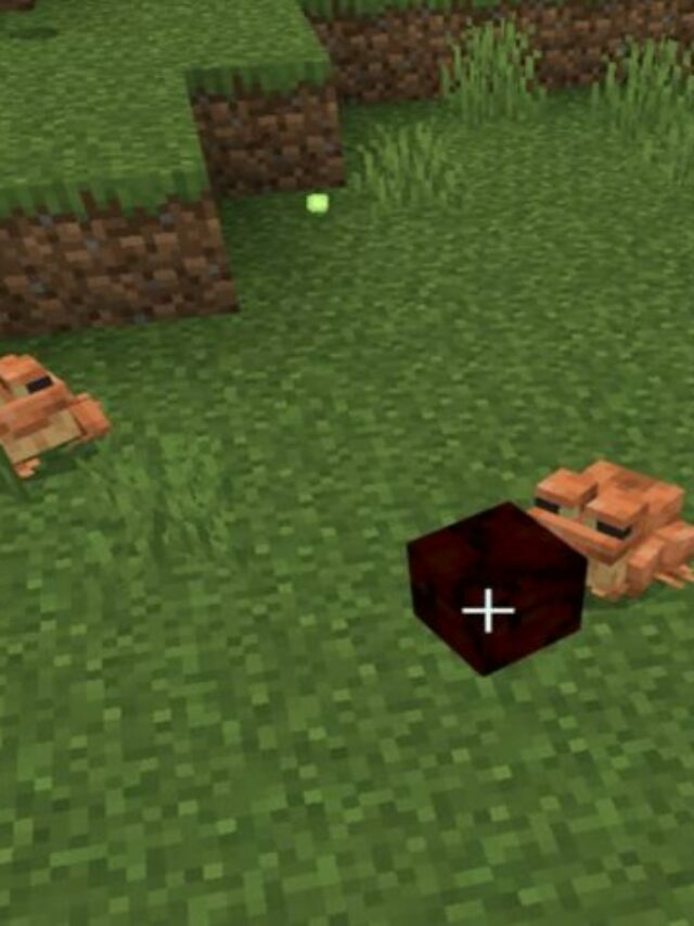 What do Frogs eat in Minecraft?
