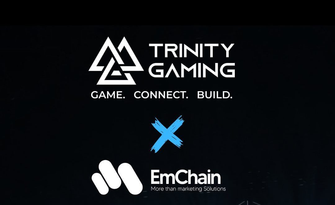 Trinity Gaming signs deal with Everdome To build Web3 adoption in India