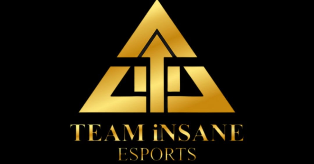 Who Is Team iNSANE?