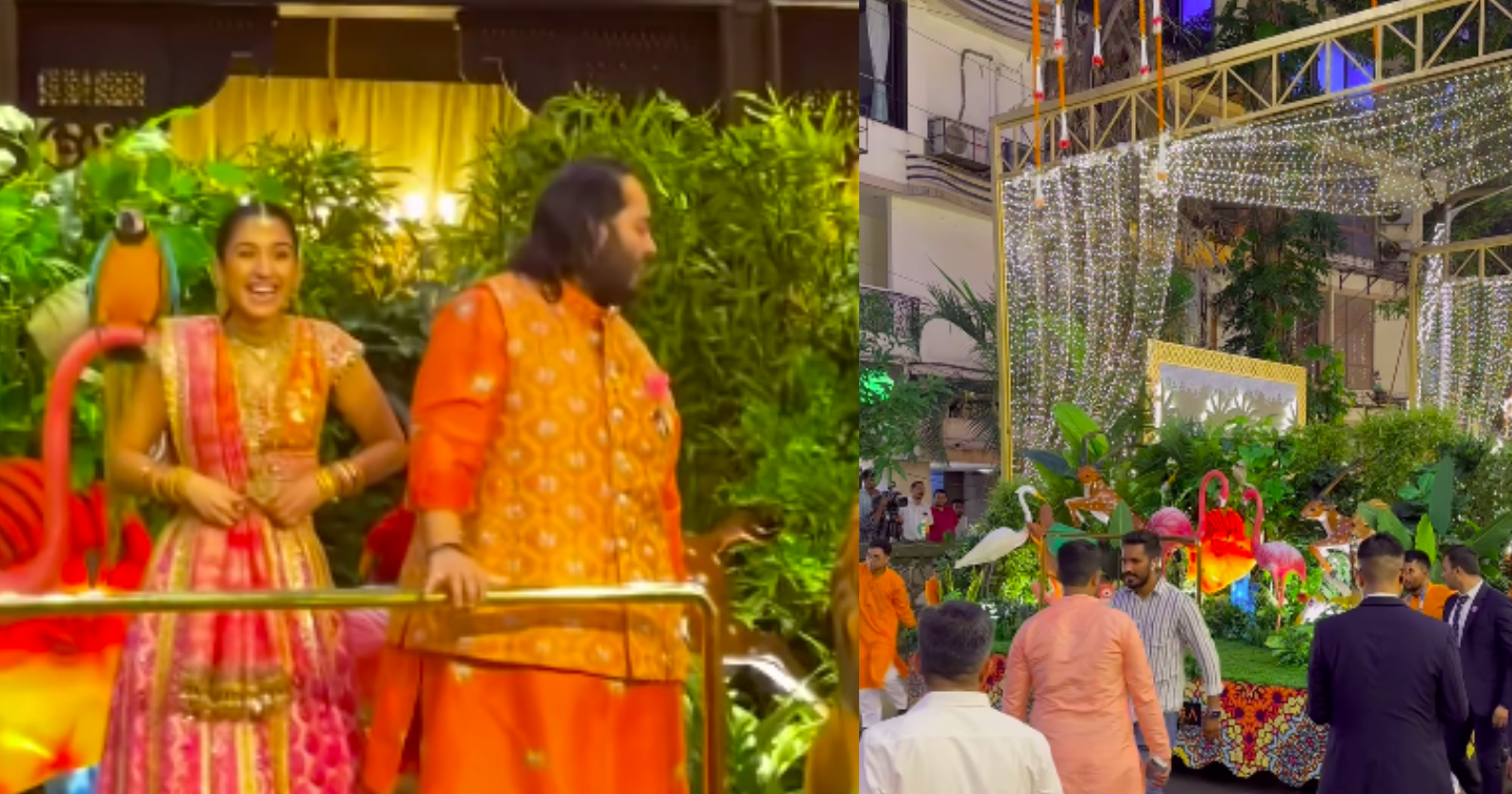 WATCH Anant Ambani and Radhika Merchant039s Wedding Jungle Themed 039Rath039 Arrives